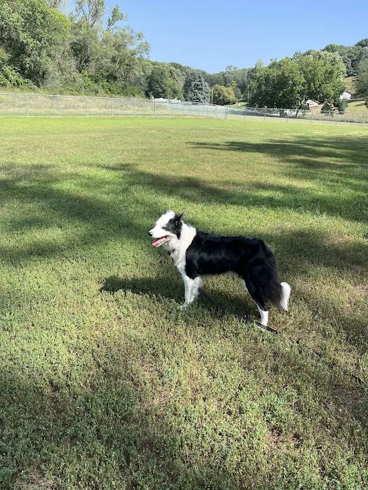Jewell Dog Park 5