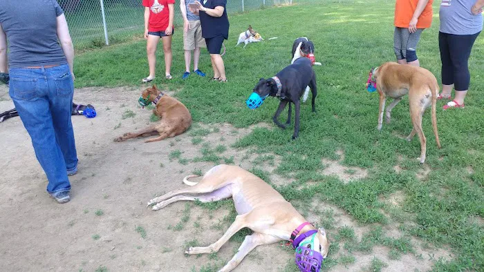 Jewell Dog Park 6