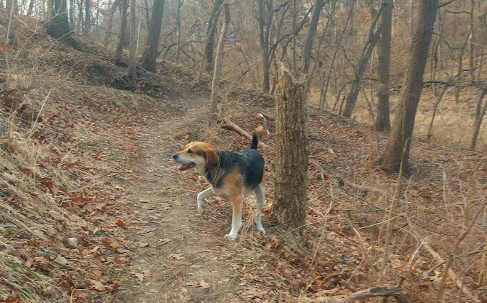 Jewell Dog Park 4