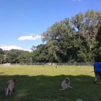 Jewell Dog Park ico