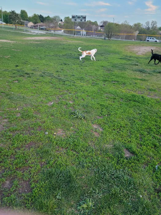 Hefflinger Dog Park 4