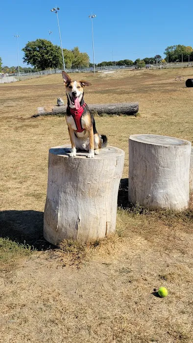 Hefflinger Dog Park 6