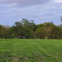 Capehart Dog Park ico