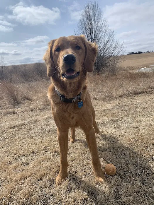 Chalco Hills Dog Exercise Area 2