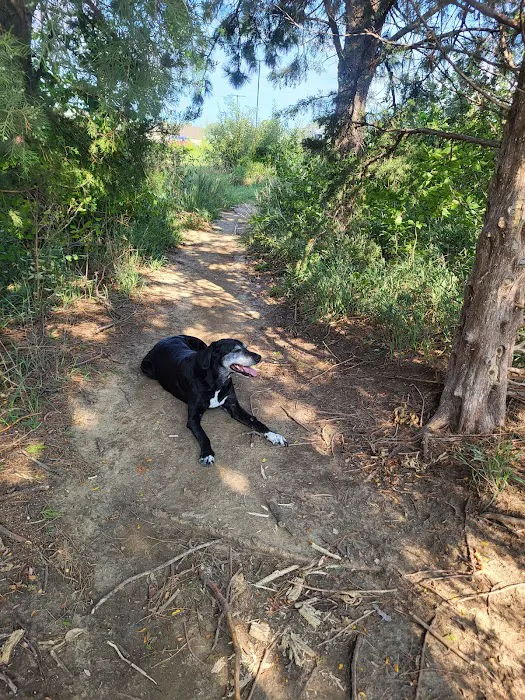 Chalco Hills Dog Exercise Area 3