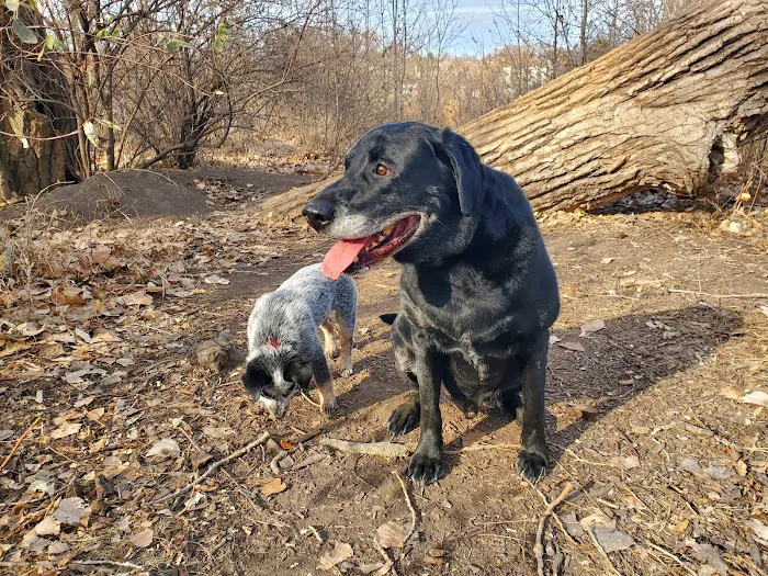 Chalco Hills Dog Exercise Area 4