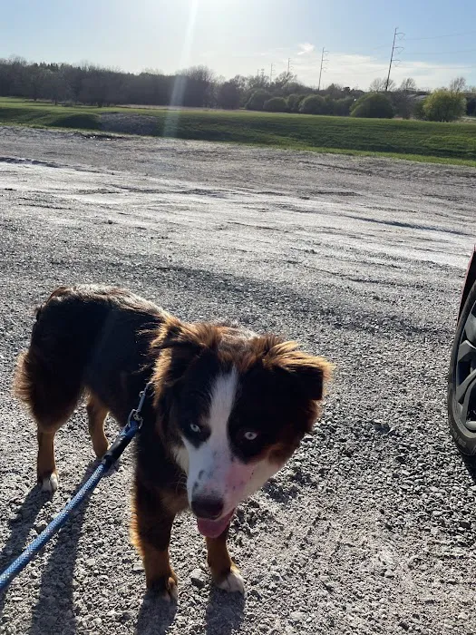Chalco Hills Dog Exercise Area 7