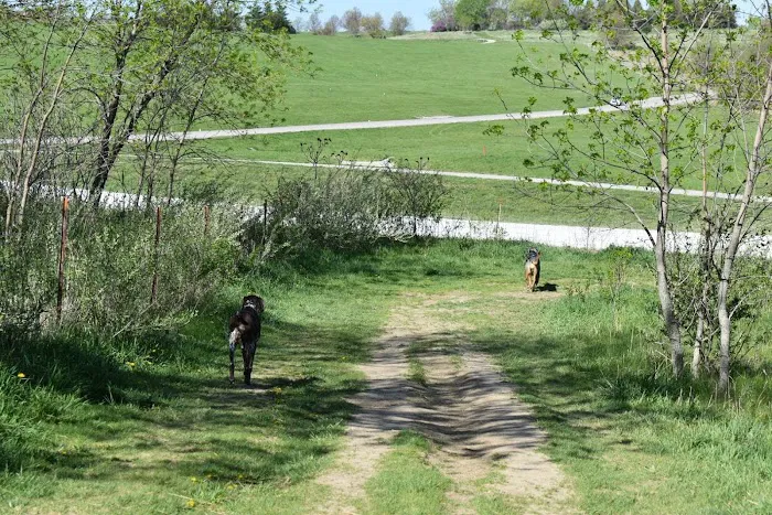 Chalco Hills Dog Exercise Area 8