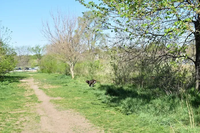 Chalco Hills Dog Exercise Area 5