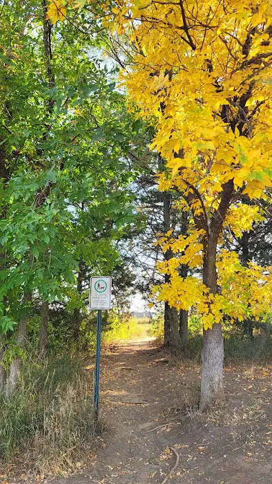 Chalco Hills Dog Exercise Area 1