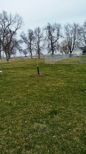 Missouri Valley Dog Park 2