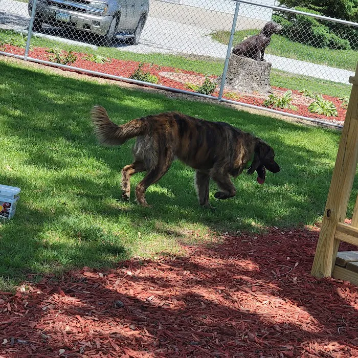 Missouri Valley Dog Park 9