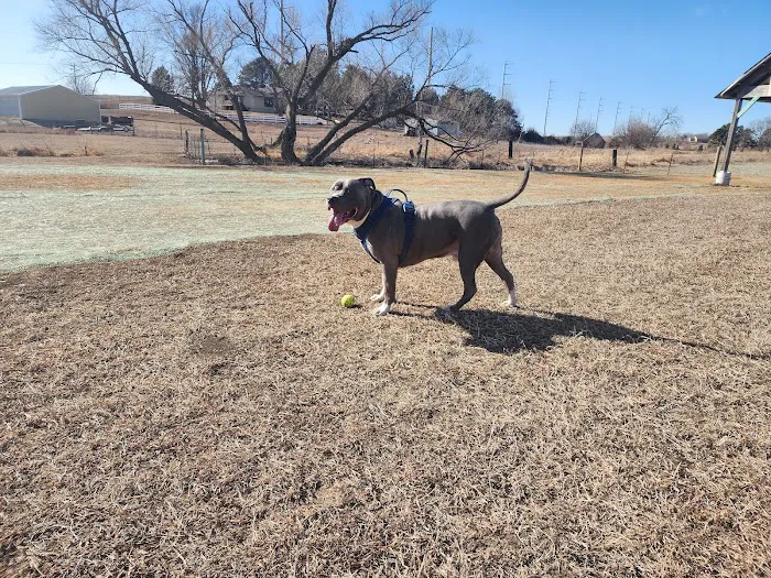 Bark Park Omaha - Private Dog Park 3