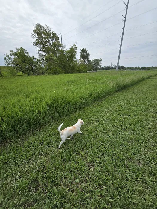 Bark Park Omaha - Private Dog Park 5