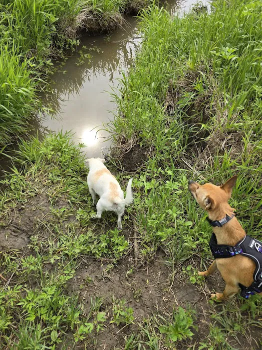 Bark Park Omaha - Private Dog Park 4
