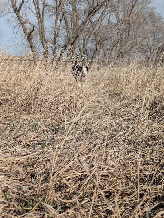 Bark Park Omaha - Private Dog Park 1
