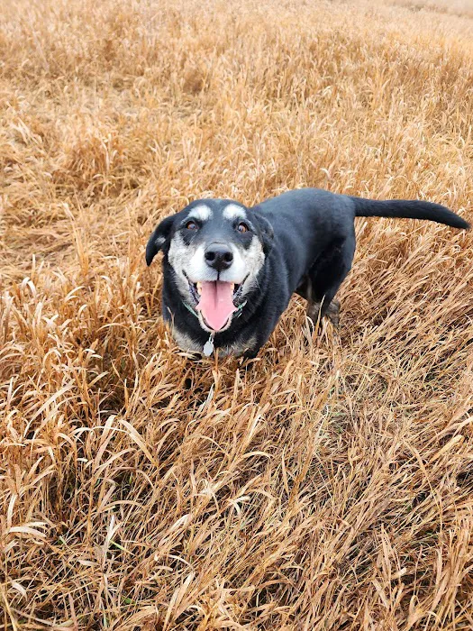 Bark Park Omaha - Private Dog Park 7