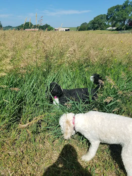 Bark Park Omaha - Private Dog Park 10