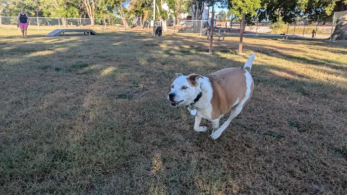Ashland Dog Park 8