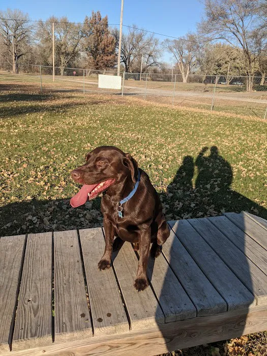 Ashland Dog Park 4