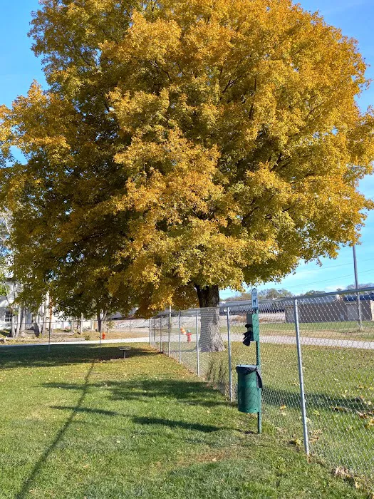 Ashland Dog Park 9