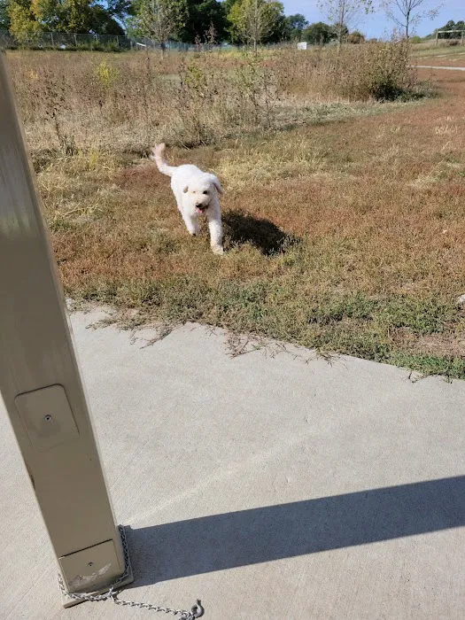Mahoney Park Dog Run 1