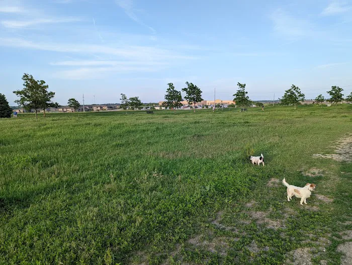 Mahoney Park Dog Run 4