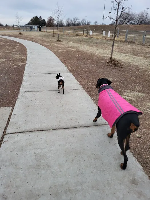 Mahoney Park Dog Run 6