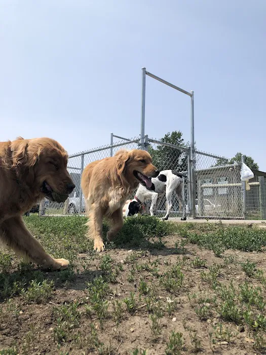 Mahoney Park Dog Run 8