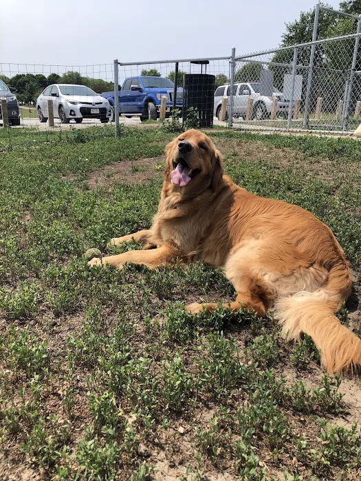 Mahoney Park Dog Run 9