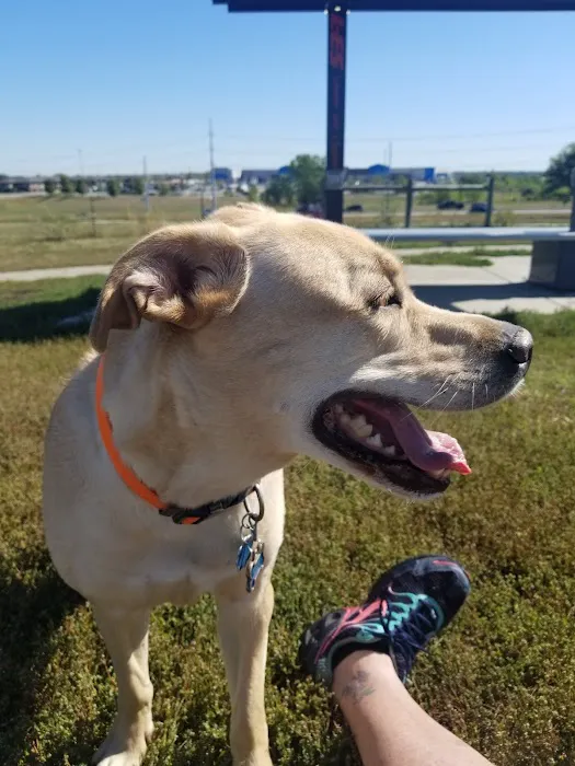 Mahoney Park Dog Run 2