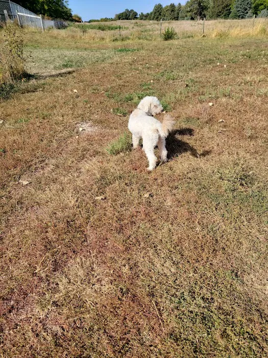 Mahoney Park Dog Run 3