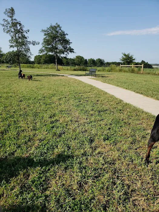 Mahoney Park Dog Run 10