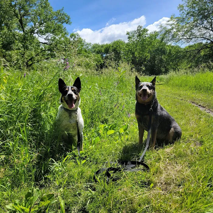 Parking Lot - Holmes Lake Dog Park 7