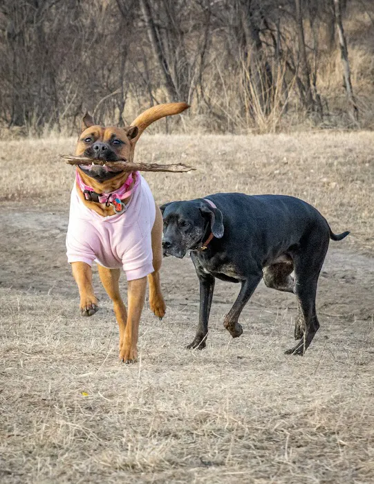 Parking Lot - Holmes Lake Dog Park 9
