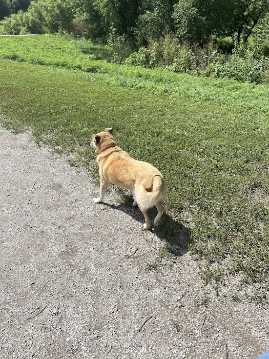 Parking Lot - Holmes Lake Dog Park 1