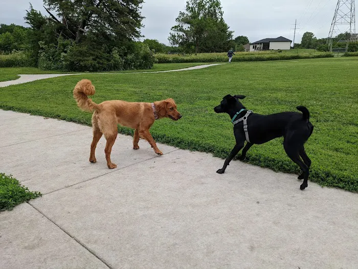 Parking Lot - Holmes Lake Dog Park 2
