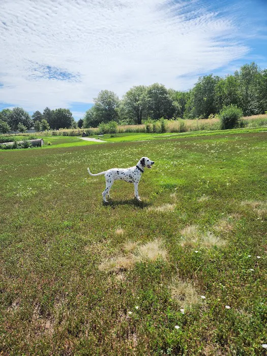 Stransky Dog Run at Peterson Park 5