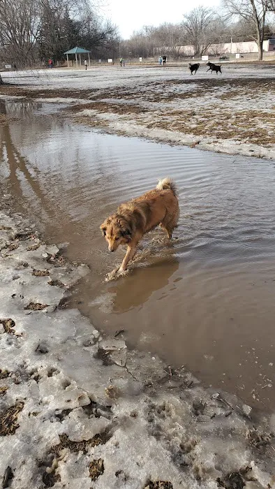Stransky Dog Run at Peterson Park 2