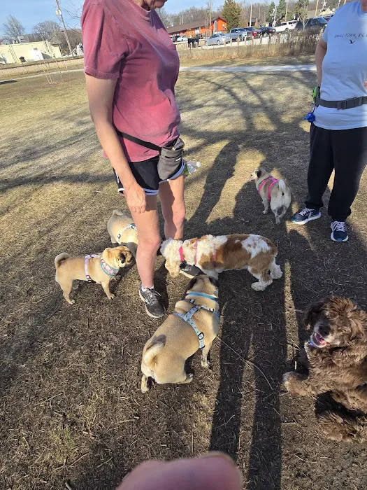 Stransky Dog Run at Peterson Park 7