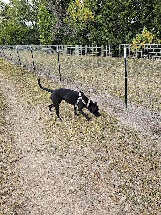 Bowling Lake Dog Park 4