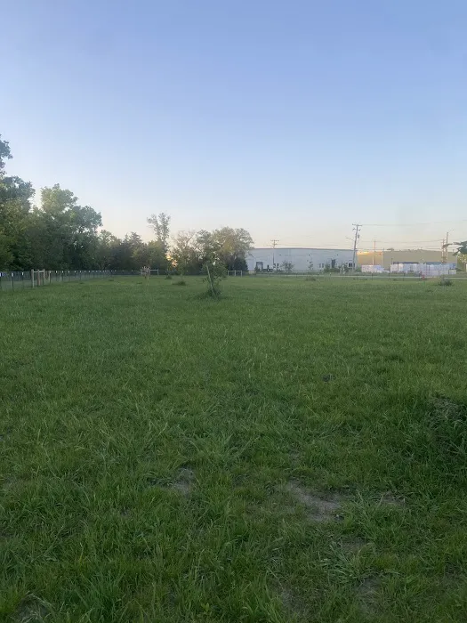 Bowling Lake Dog Park 9