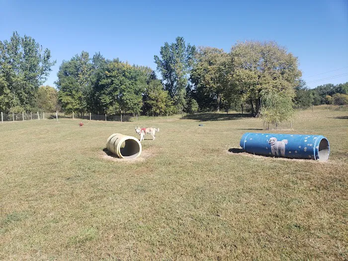 Seward Community Dog Park 3