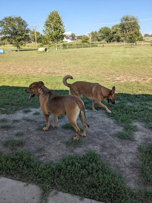 Seward Community Dog Park 4