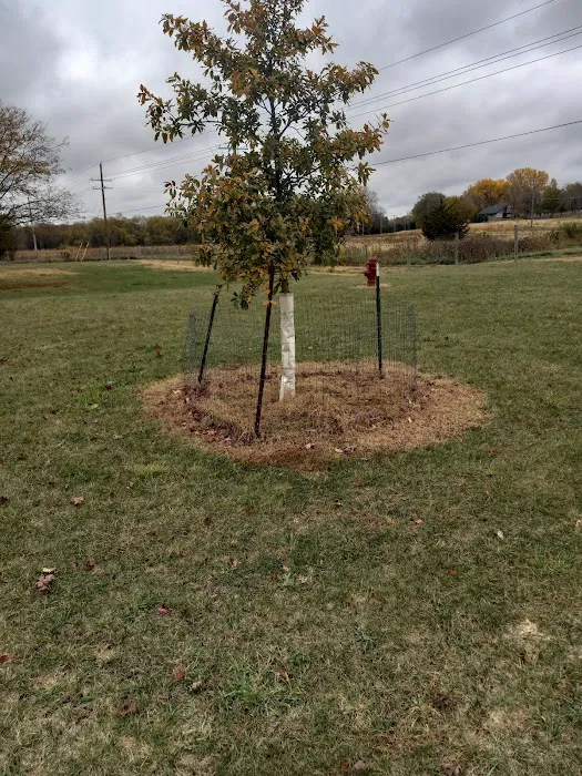 Seward Community Dog Park 10