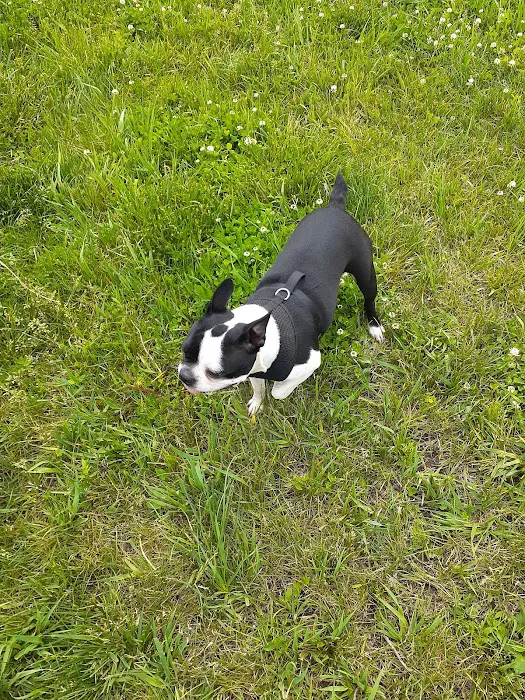 Roper East Dog Run 2
