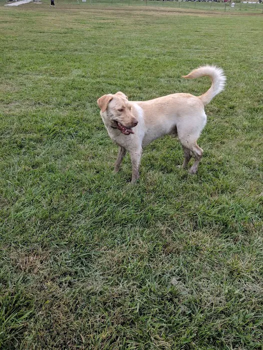 Roper East Dog Run 6
