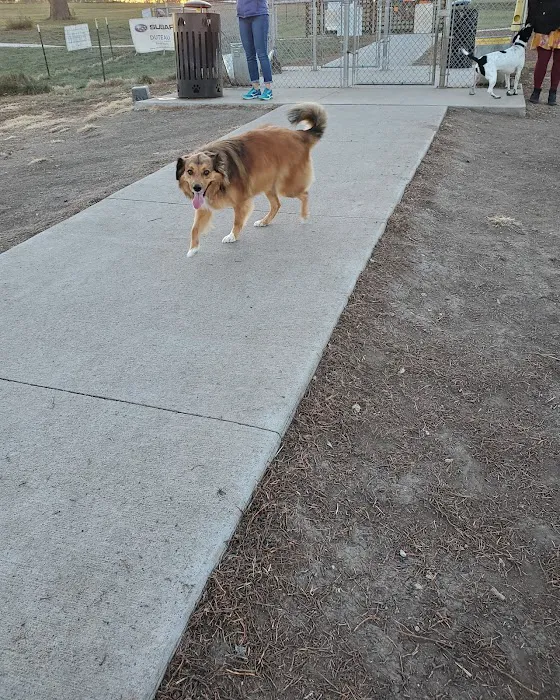 Roper East Dog Run 9