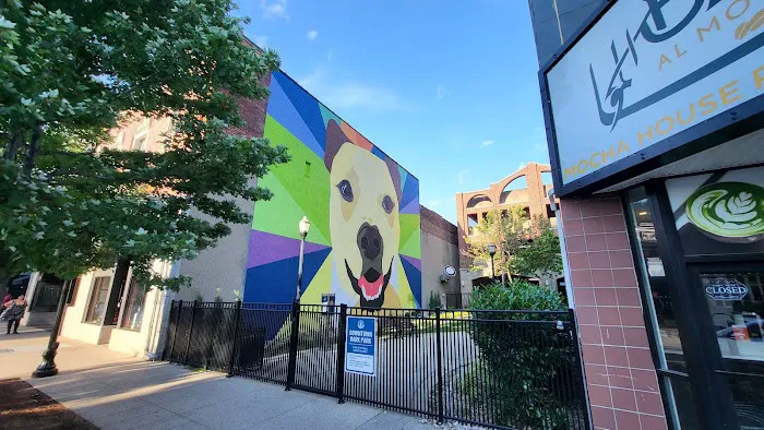 Downtown Bark Park 1
