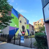 Downtown Bark Park ico